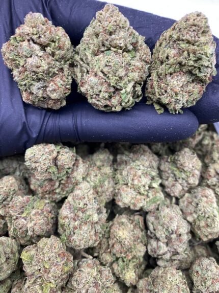 Buy Apple Pops strain online