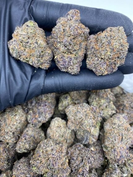 Buy Black cherry Runtz Online