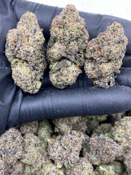 Buy Blizzard Runtz Online