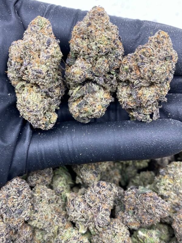 Buy Blizzard Runtz Online