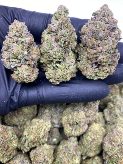 Buy Blow Pop strain Online