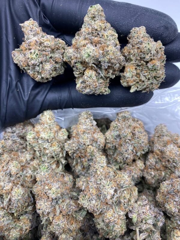 Buy Blueberry Donuts strain online