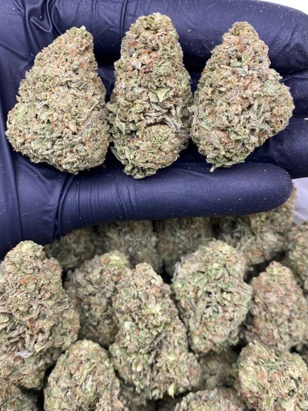 Buy Cake Face Strain online