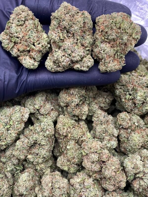 Candy Cherry Kush Strain