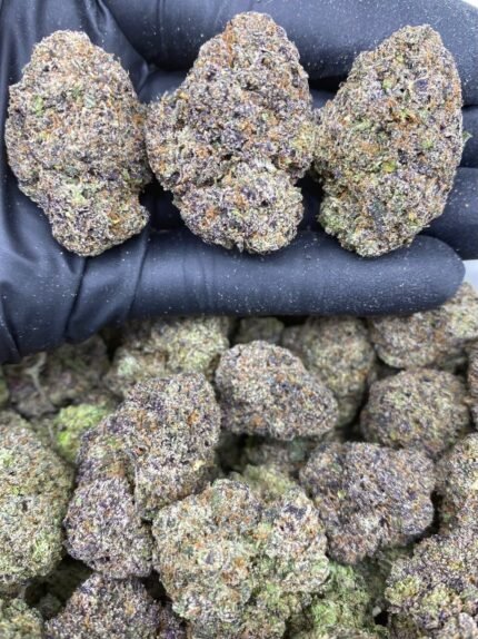 Candy Gaslatto strain