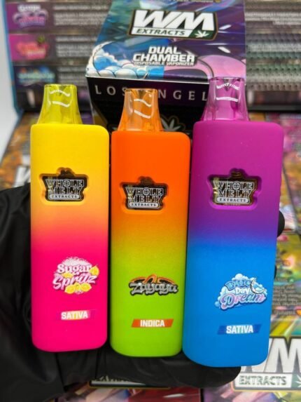 WHOLE MELTS DUAL 2G DISPOSABLE