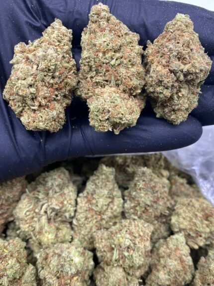 Buy Banan kush strain online