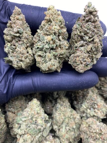 Buy Birthday Cake Strain online
