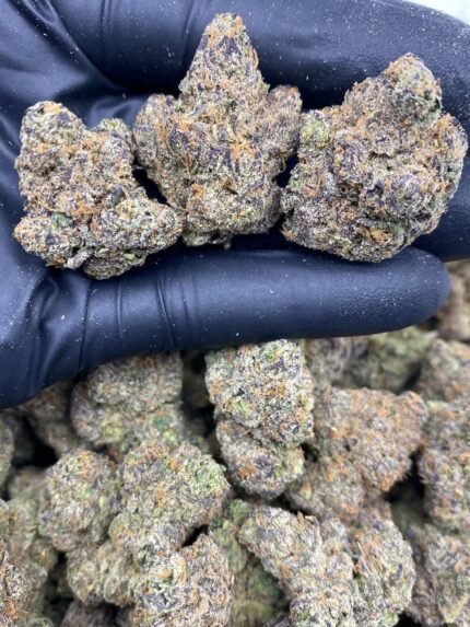 Buy Candy Fumes Strain Online