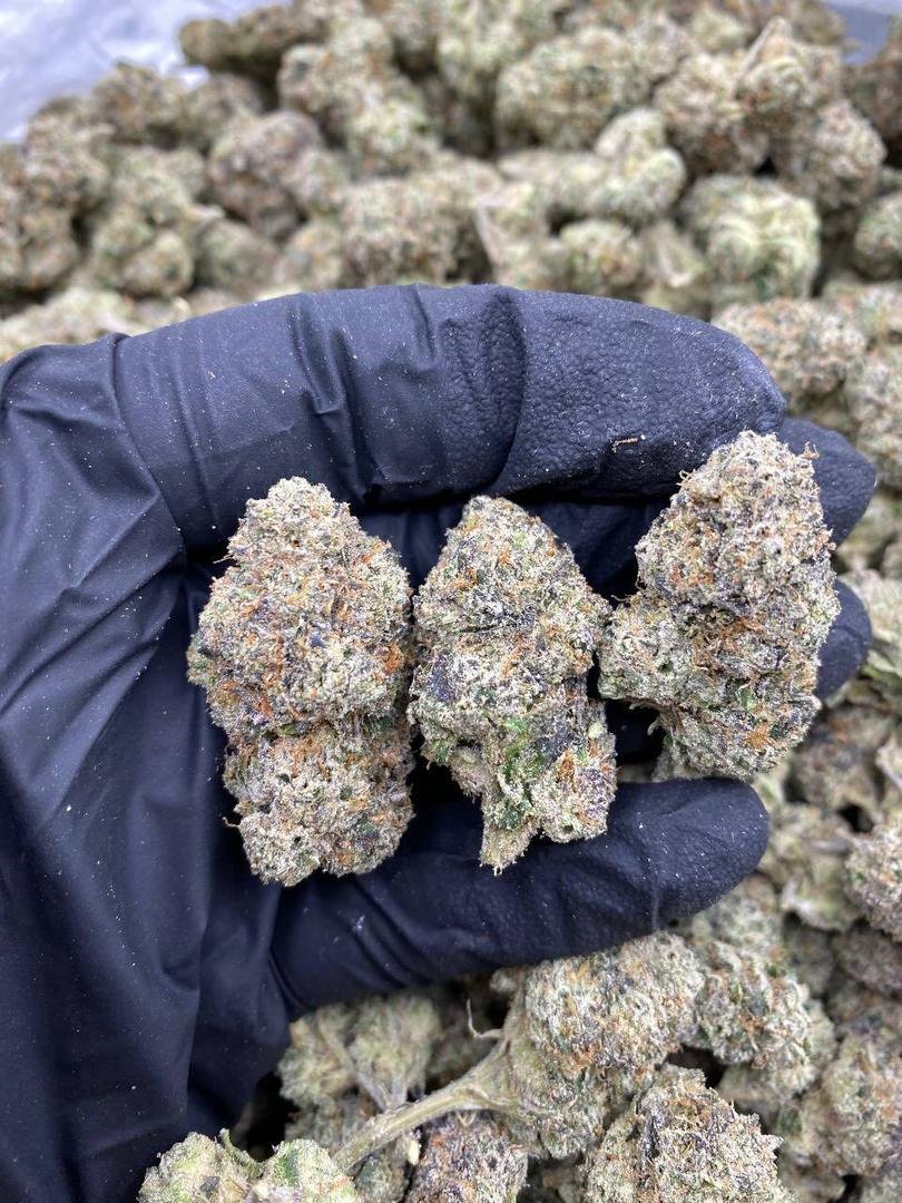 Sweet Runtz flavor Sweet Runtz flavor