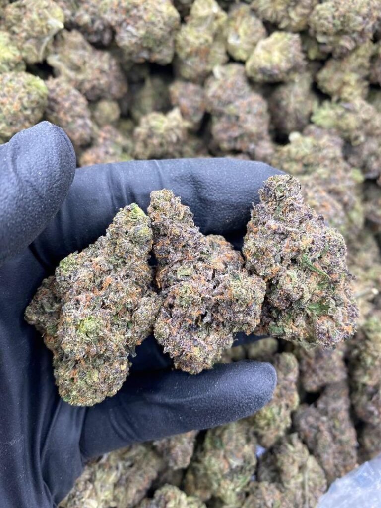 Exotic citrus runtz