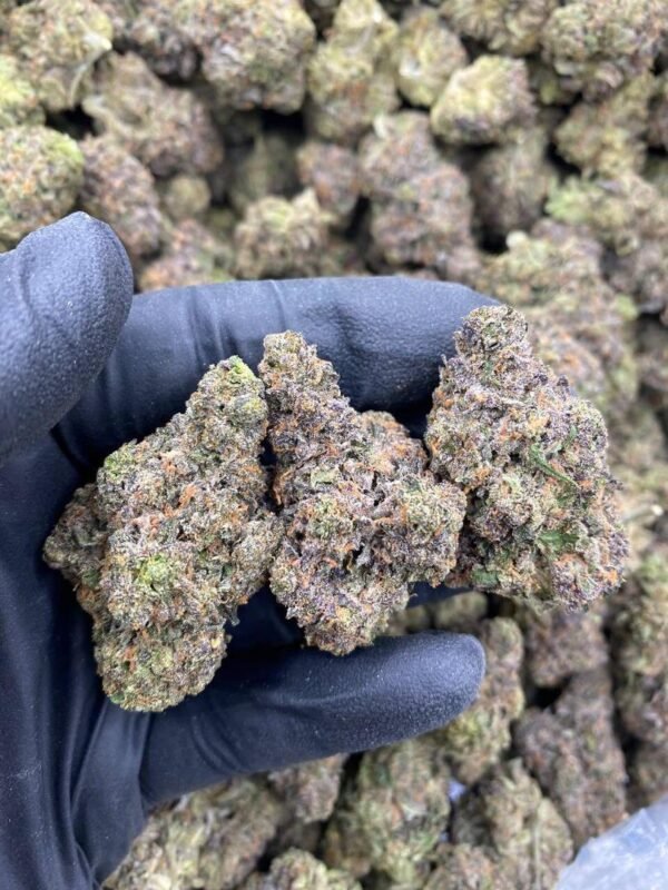 Premium kitty weed