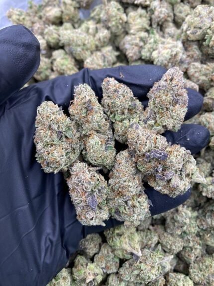 Lemon Cherry Grape strain