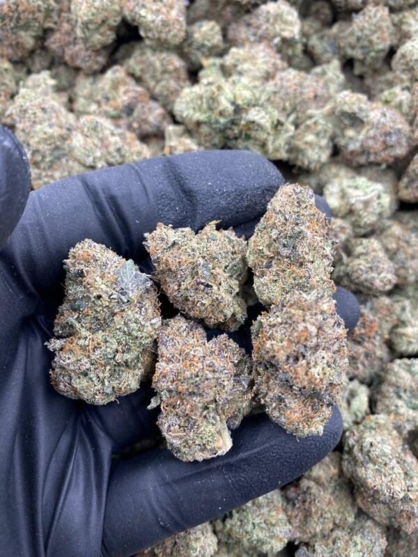Lemon Cherry Gelato strain