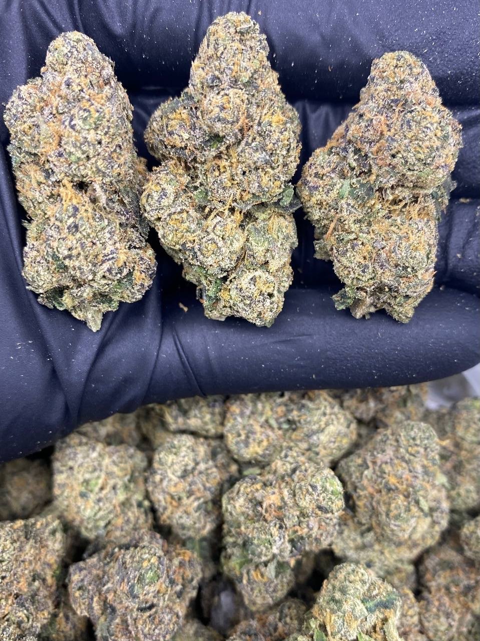 PINK-CANDY Pink Candy strain