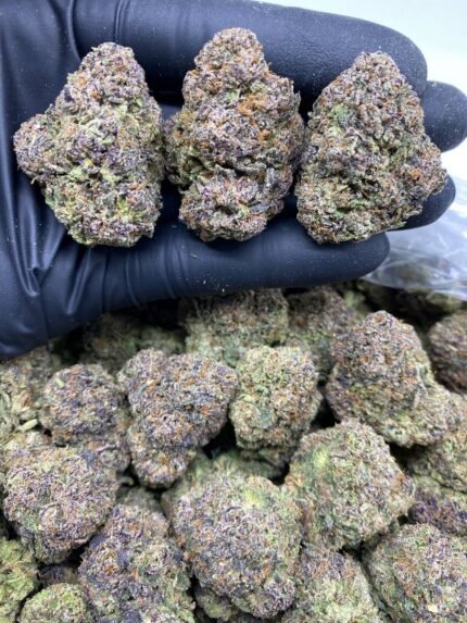 Purple Cherry Bomb strain