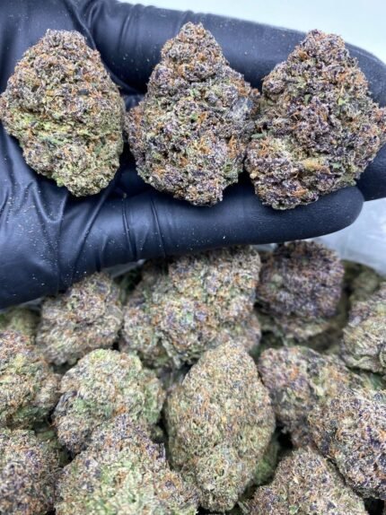Purple gushers strain
