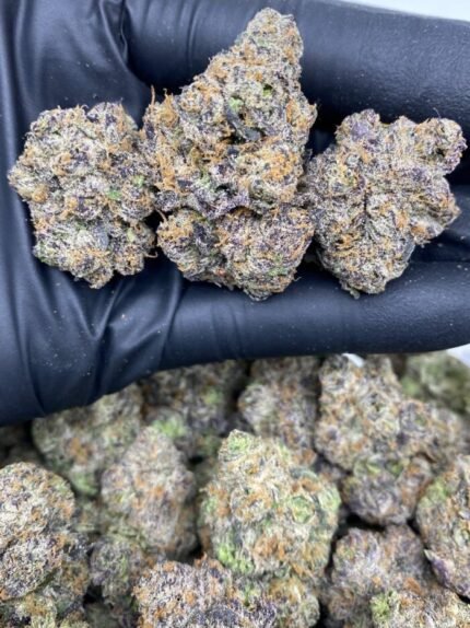 Purple Slurricane strain