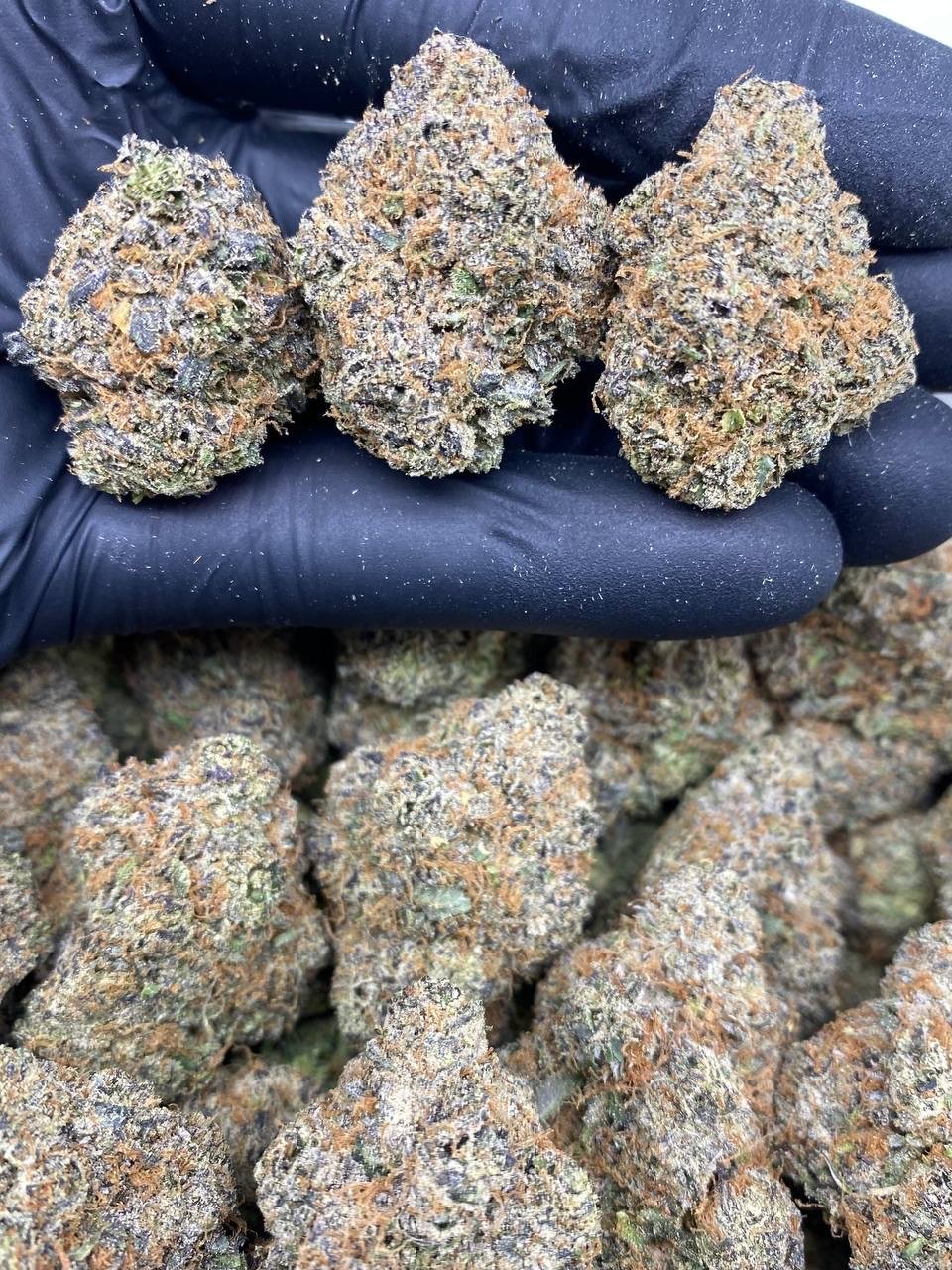 RUBY-RUNTZ Ruby runtz strain